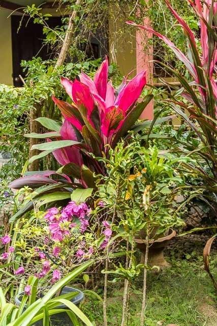 Ban Sabai Sabai Guest House كانتْشانابوري المظهر الخارجي الصورة